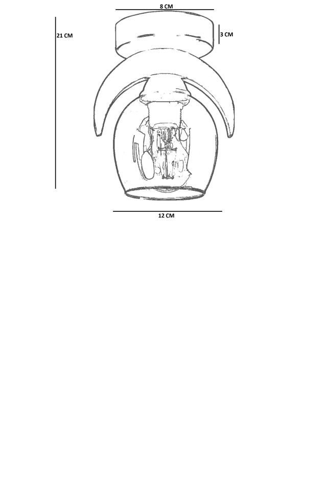 HELENA TEKLİ BAL CAMLI PLAFONYER AVİZE